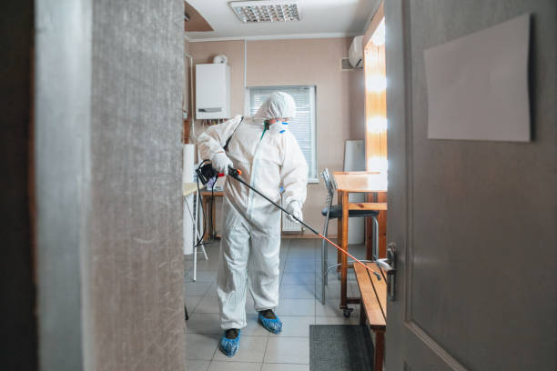 Reliable Benwood, WV Mold Removal Solutions