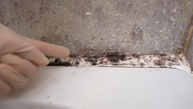 Best Air Quality Testing for Mold Spores  in Benwood, WV